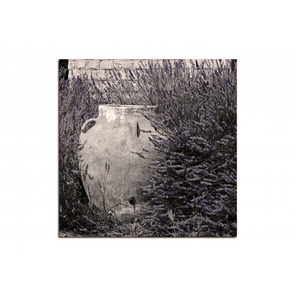 Obraz na plátně - Amfora v levandulovém keři - čtverec
